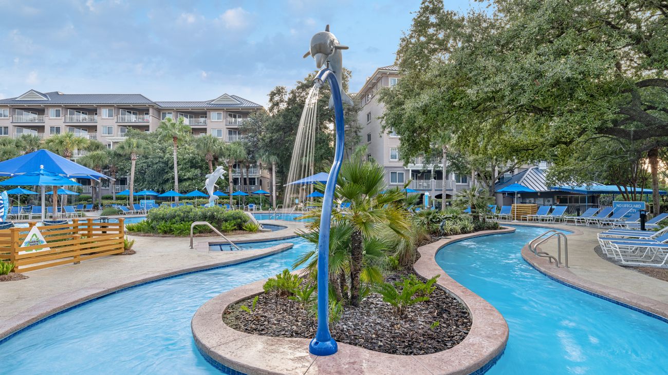 Dolphin Pool